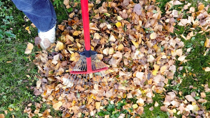 preparing your backyard for winter